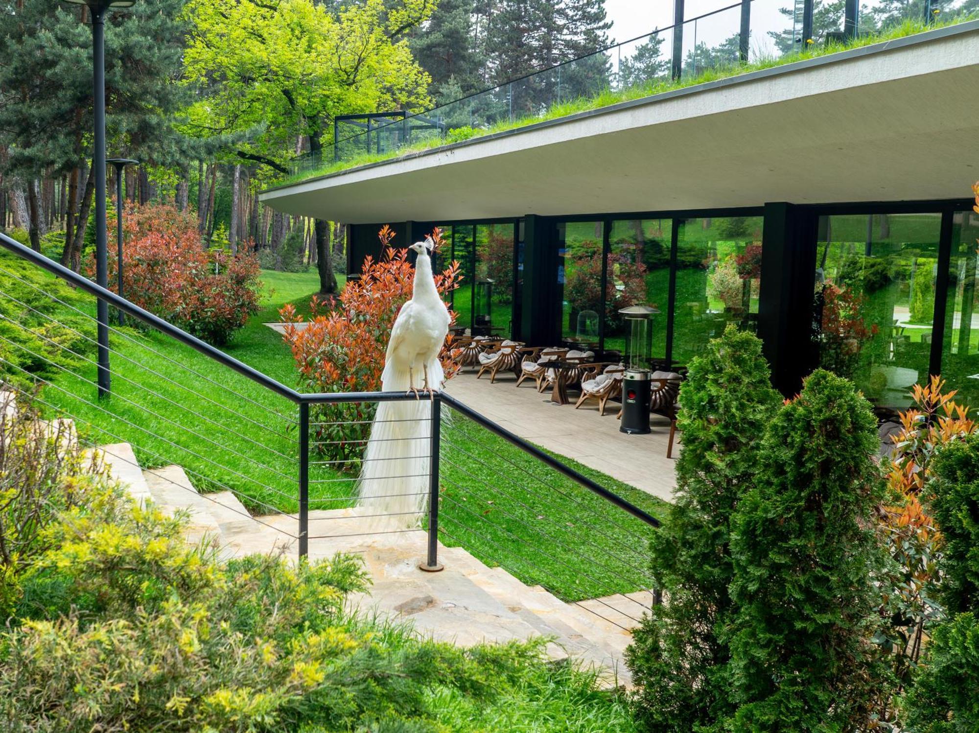 Bioli Wellness Resort Kojori Exterior foto